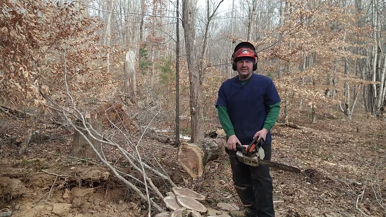 (Sellick) Stihl 011AV Cold Start and Test Cuts #stihl011 #stihl #chainsaw