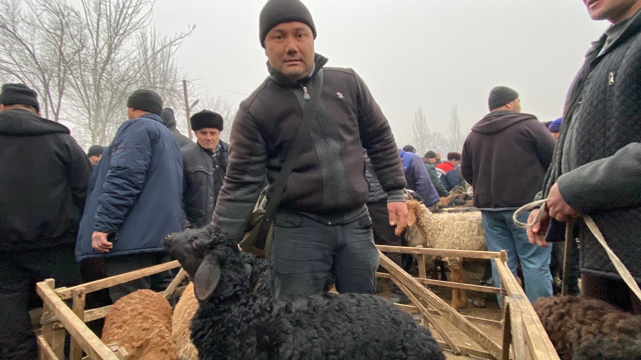 🛑HAMMA KORSIN! QO’Y BOZORDAGI HAQIQIY NARXLAR QANDAY BO’LYAPTI?