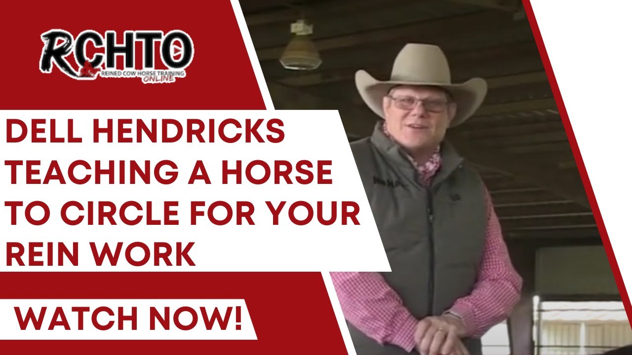 Dell Hendricks Teaching A Horse To Circle For Your Rein Work