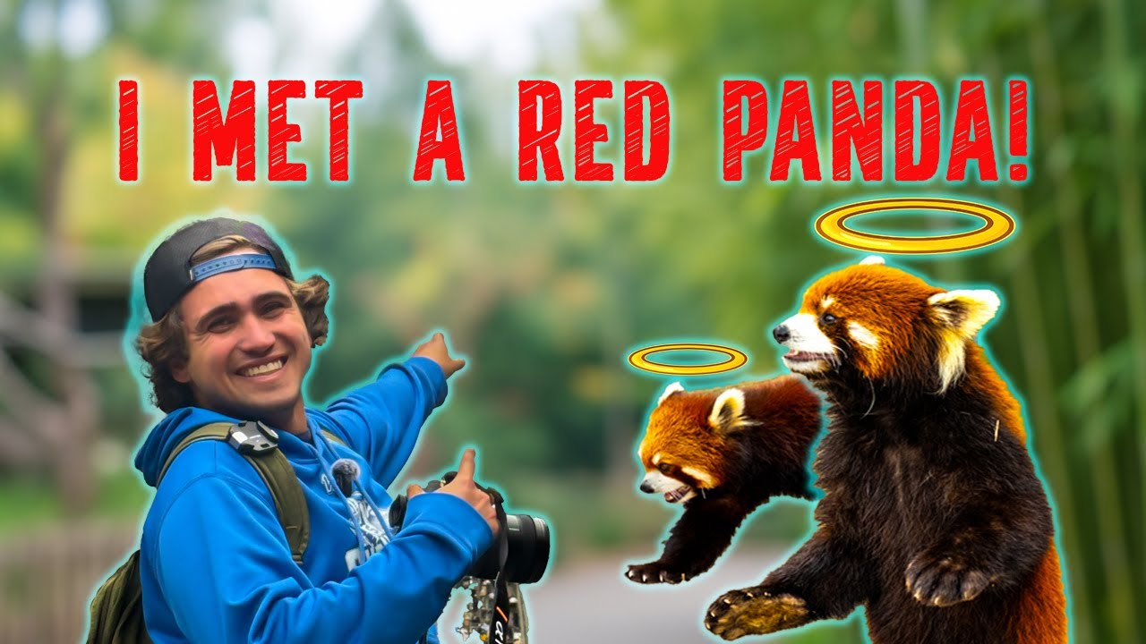 Petting Red Pandas at the WILDEST Zoo in China!