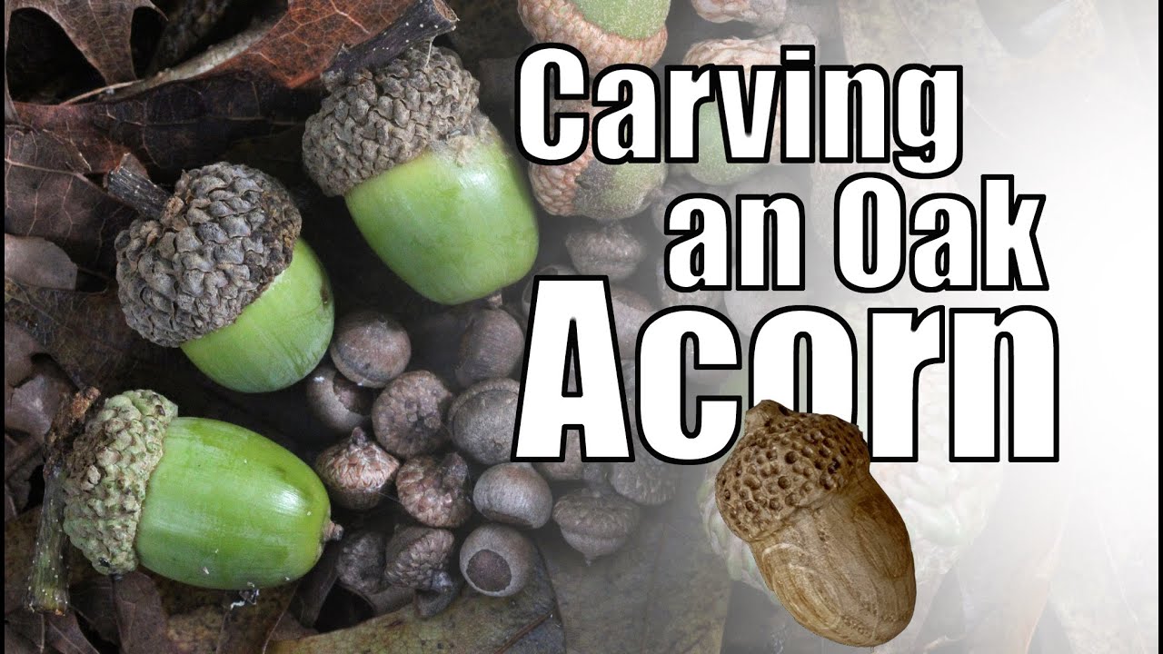 Carving an Oak Acorn