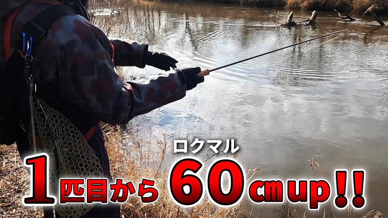 いきなり大物HIT！3人で激濁りの湿原河川アメマス釣り