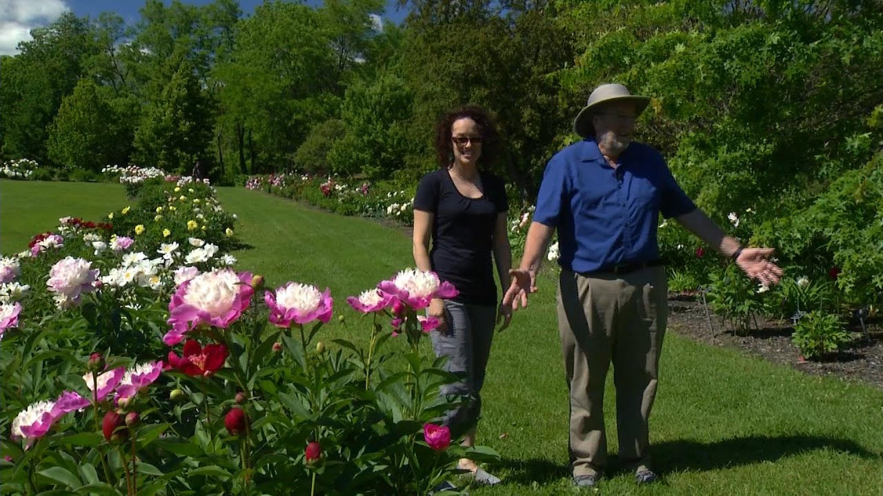 Le Jardin Botanique Roger-Van Den Hende | Dans mon Jardin