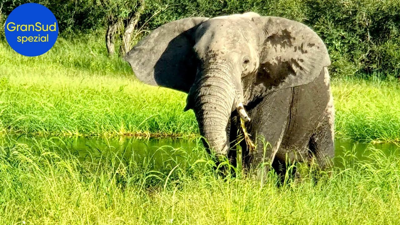 Kamera-Safari im Norden Namibias, Caprivi