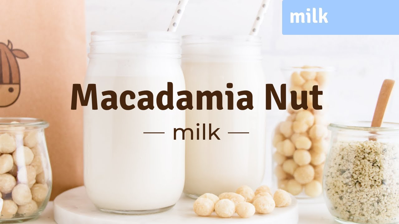 How To Make Maple Macadamia Nut Milk (without straining!) with Almond Cow