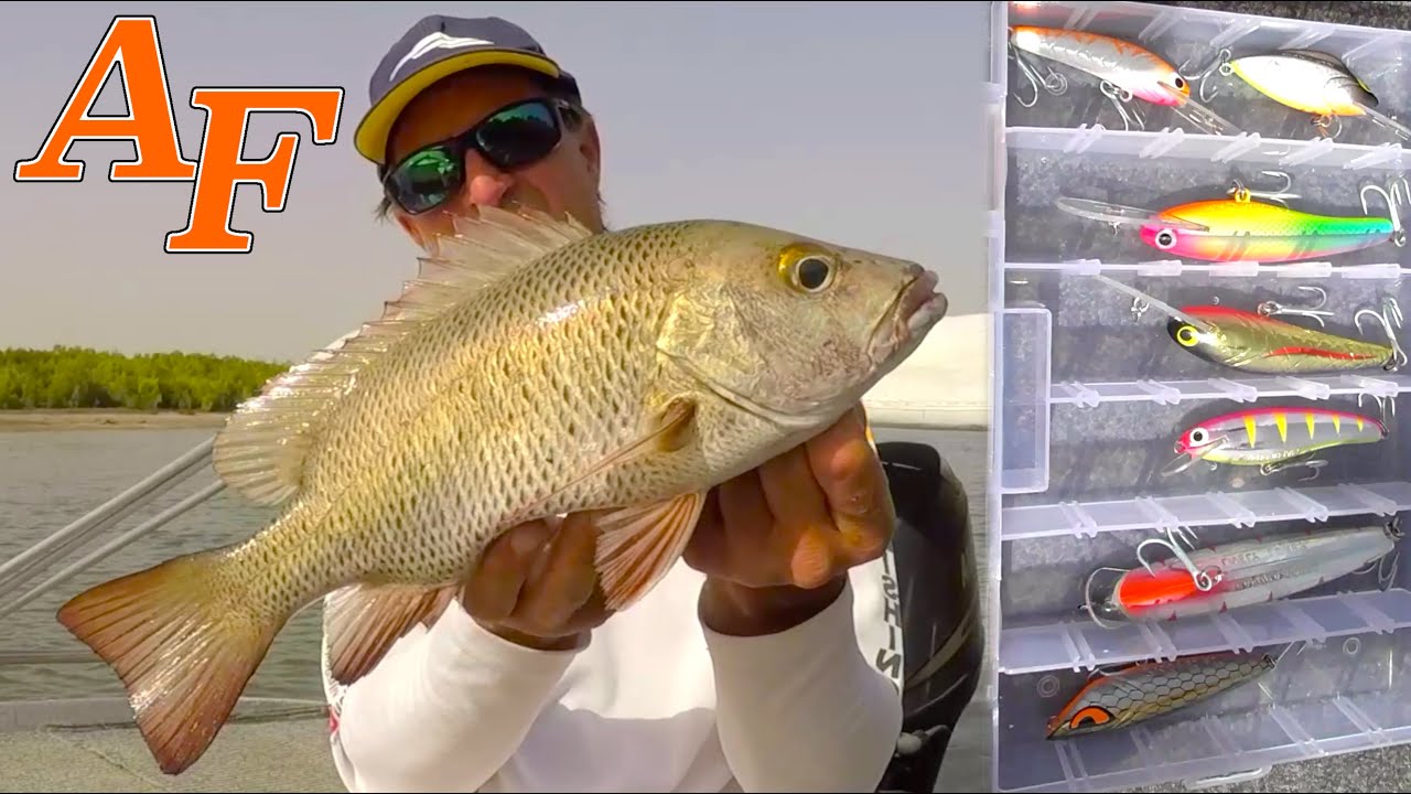 Fishing Challenge can I catch a fish on every lure in the Saltwater Estuary Pack EP.450
