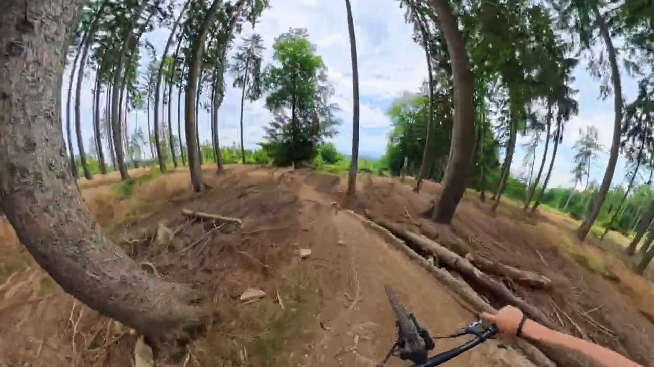 Flow Trail Feldberg Taunus. YT Jeffsy MK3 2025.