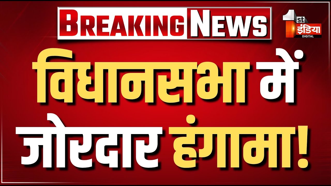 Rajasthan Vidhansabha LIVE: प्रश्नकाल के साथ विधानसभा की कार्यवाही शुरू | CM Bhajanlal Sharma