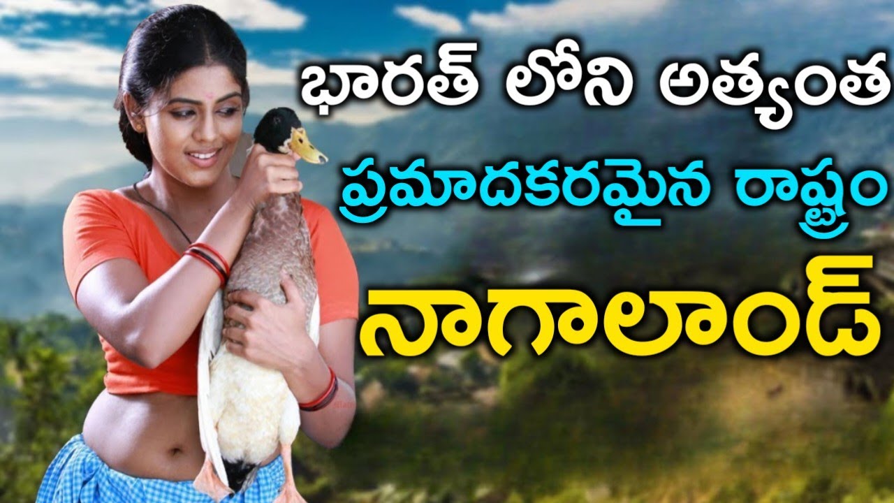 భారత్ లోని అత్యంత ప్రమాదకరమైన రాష్ట్రం | Amazing Facts About Nagaland in Telugu / Nagaland Facts
