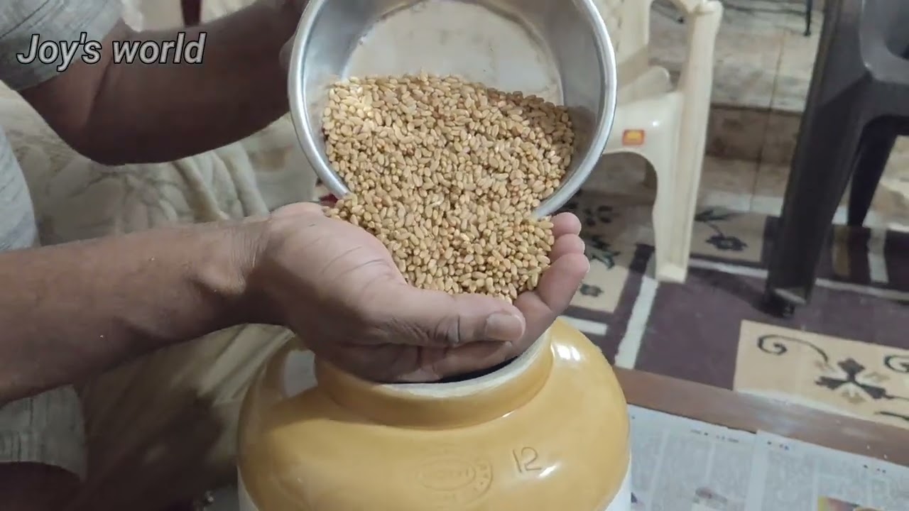 Making of Grape Wine| Joy's World 