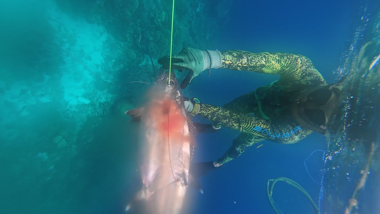 First Fish on the Year 2026 | Spear Fishing with an Old Buddy! | Doggy on the Line!