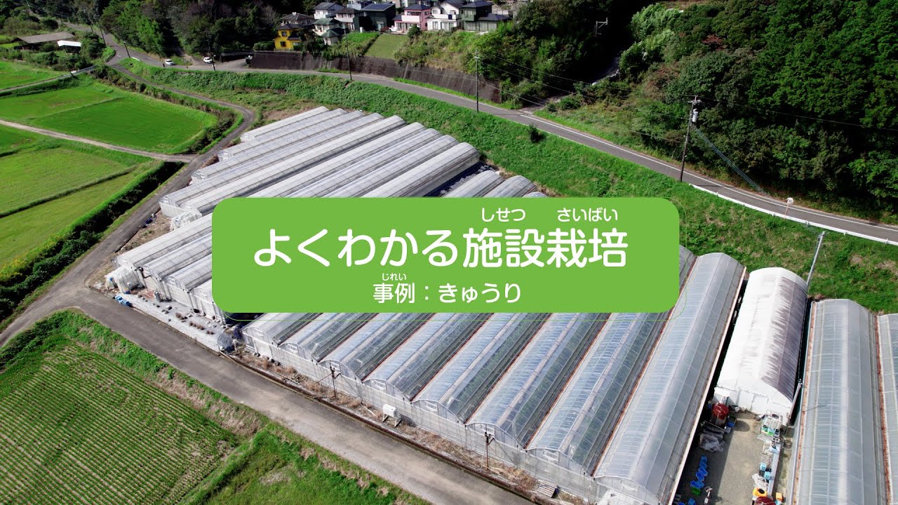 よくわかる施設栽培事例：きゅうり