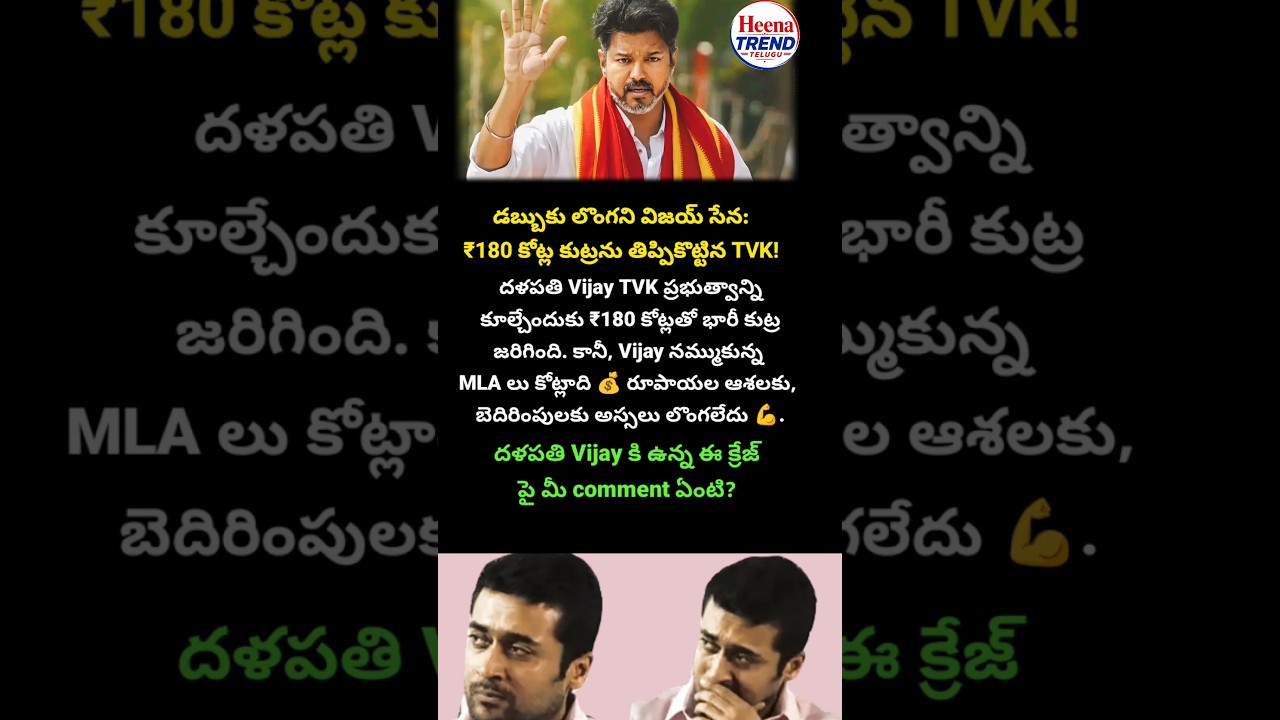 #ThalapathyVijay #TVK #TamilagaVettriKazhagam #Vijay #TamilNadu #TamilPolitics #Politics #Breaking
