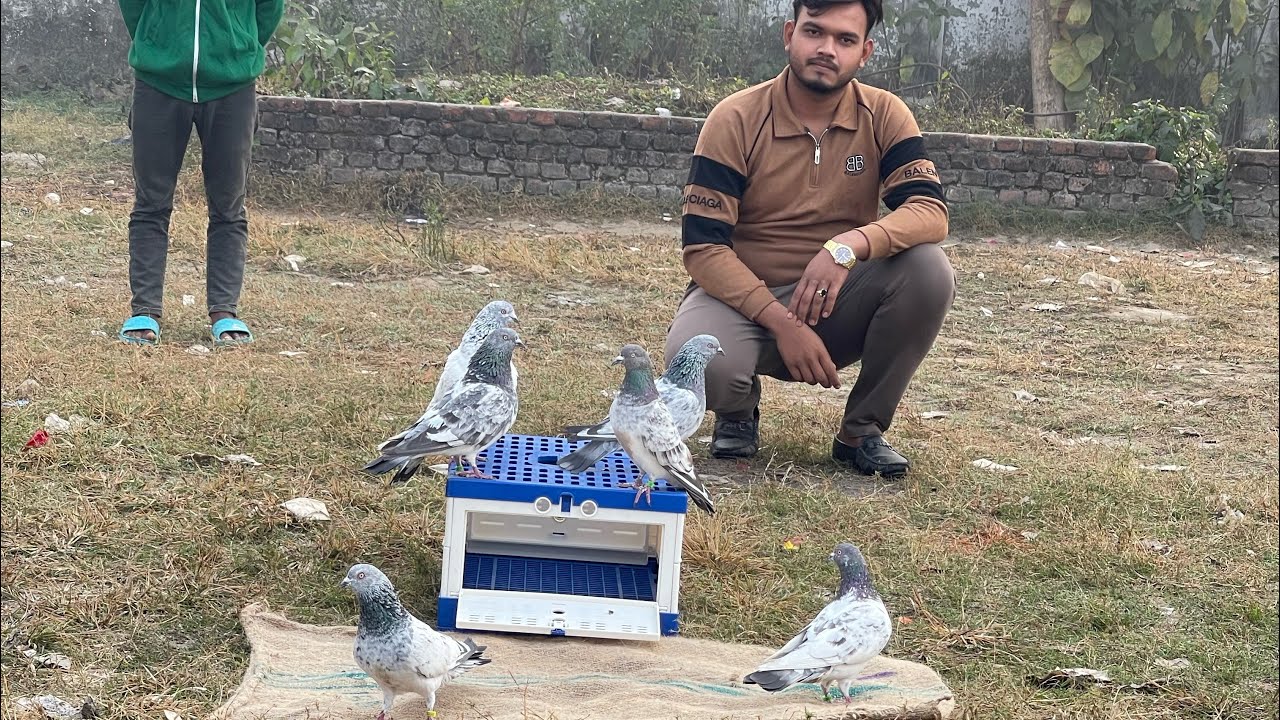 আলহামদুলিল্লাহ ইতি মধ্যে পাল্লা শেষ 💖🥰