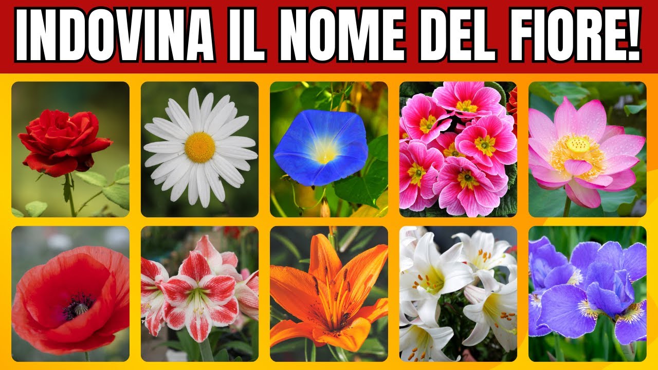 Indovina il Nome Del Fiore in 3 Secondi! Quiz Cultura Generale Difficile! 100 Nomi da Indovinare!