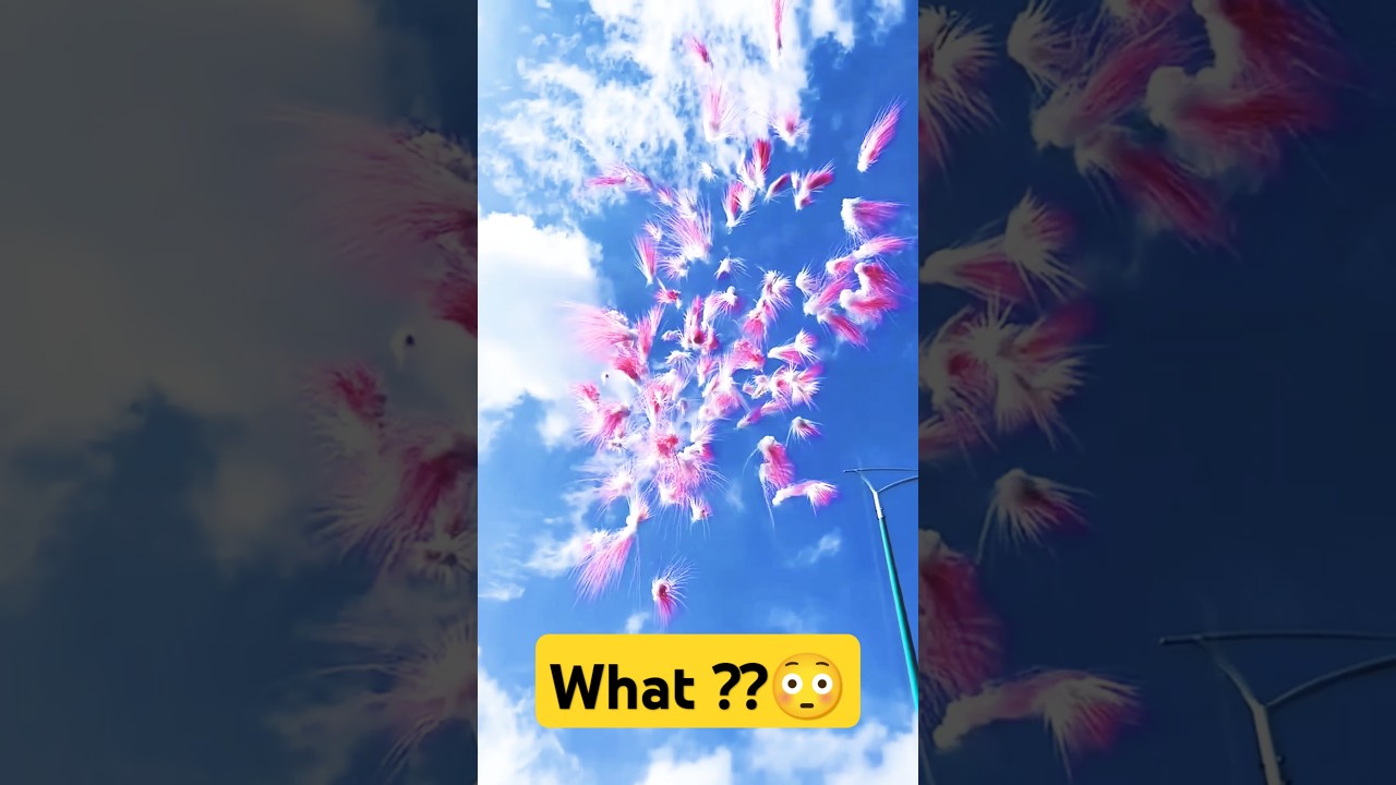 Colourfull Sky View Impression- Daytime Colour Bombs Fireworks #feuerwerk #colourbomb #pyro #amazing