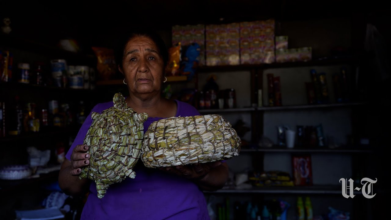 Preserving Kumeyaay culture and language beyond borders