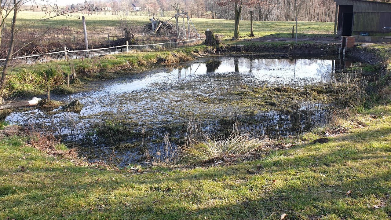 Forellen und Karpfenteich Ausbaggern Teil 1