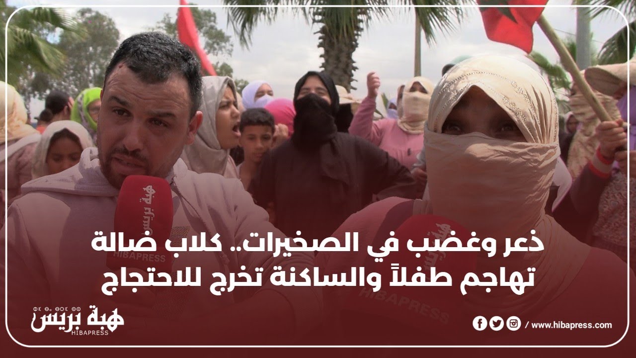 ذعر وغضب في الصخيرات.. كلاب ضالة تهاجم طفلاً والساكنة تخرج للاحتجاج