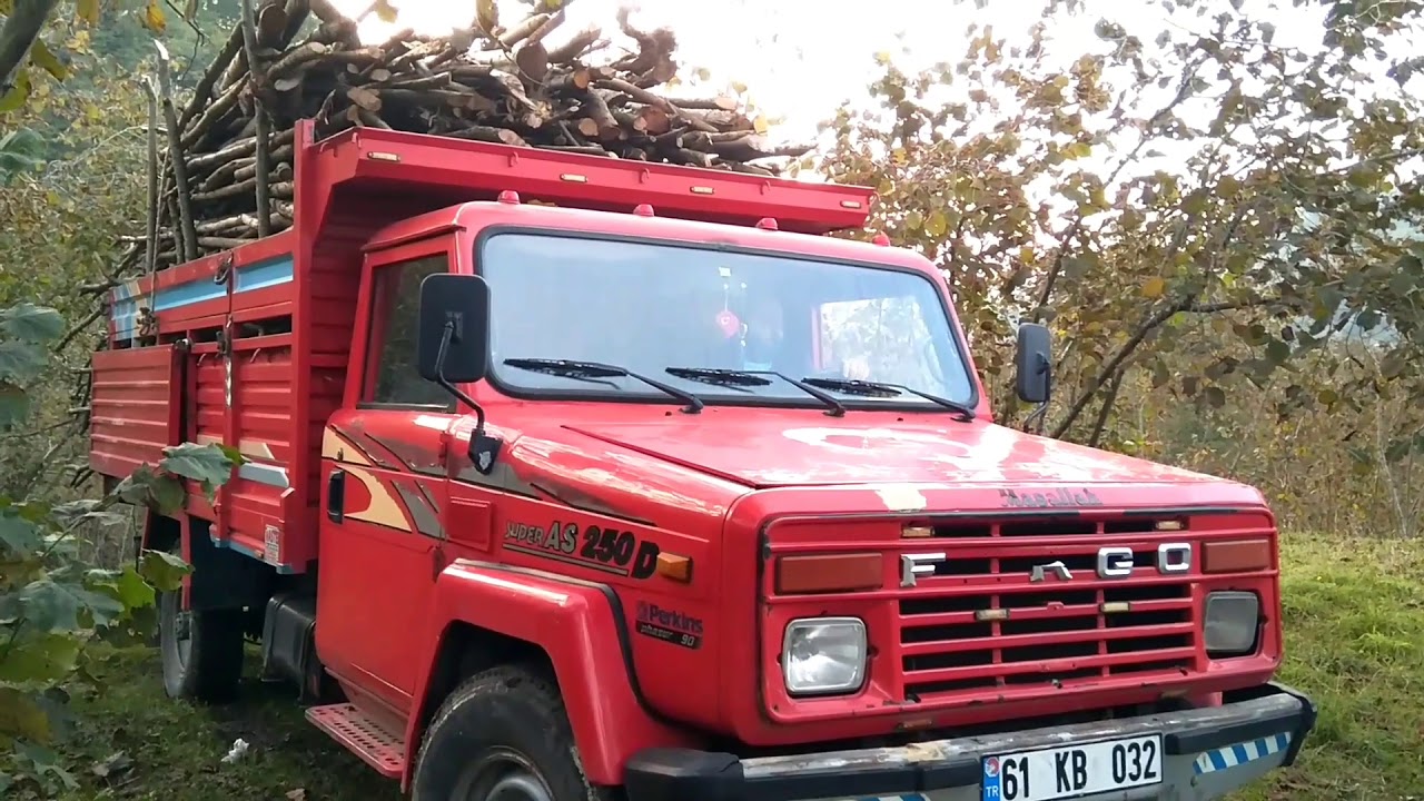 AS 250 Fındıklıktan Odun Çıkarıyor