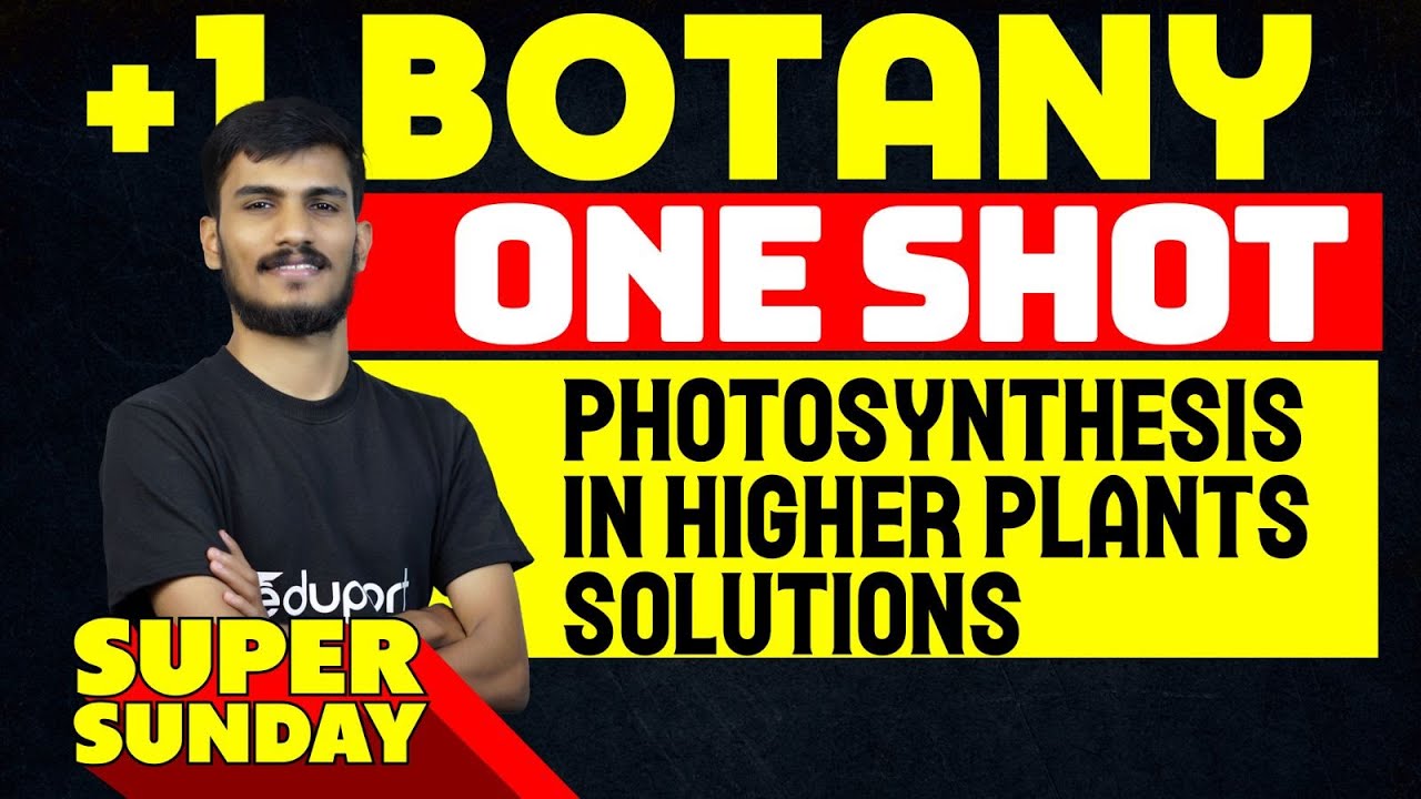 Plus One Botany | Photosynthesis in Higher Plants Solutions - One Shot | Eduport