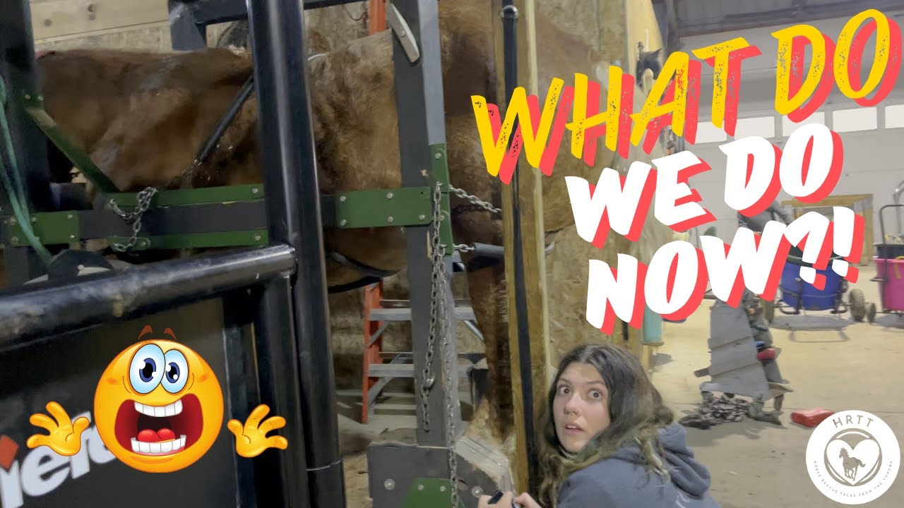 Will the Clogs Help Janis and Daphne?