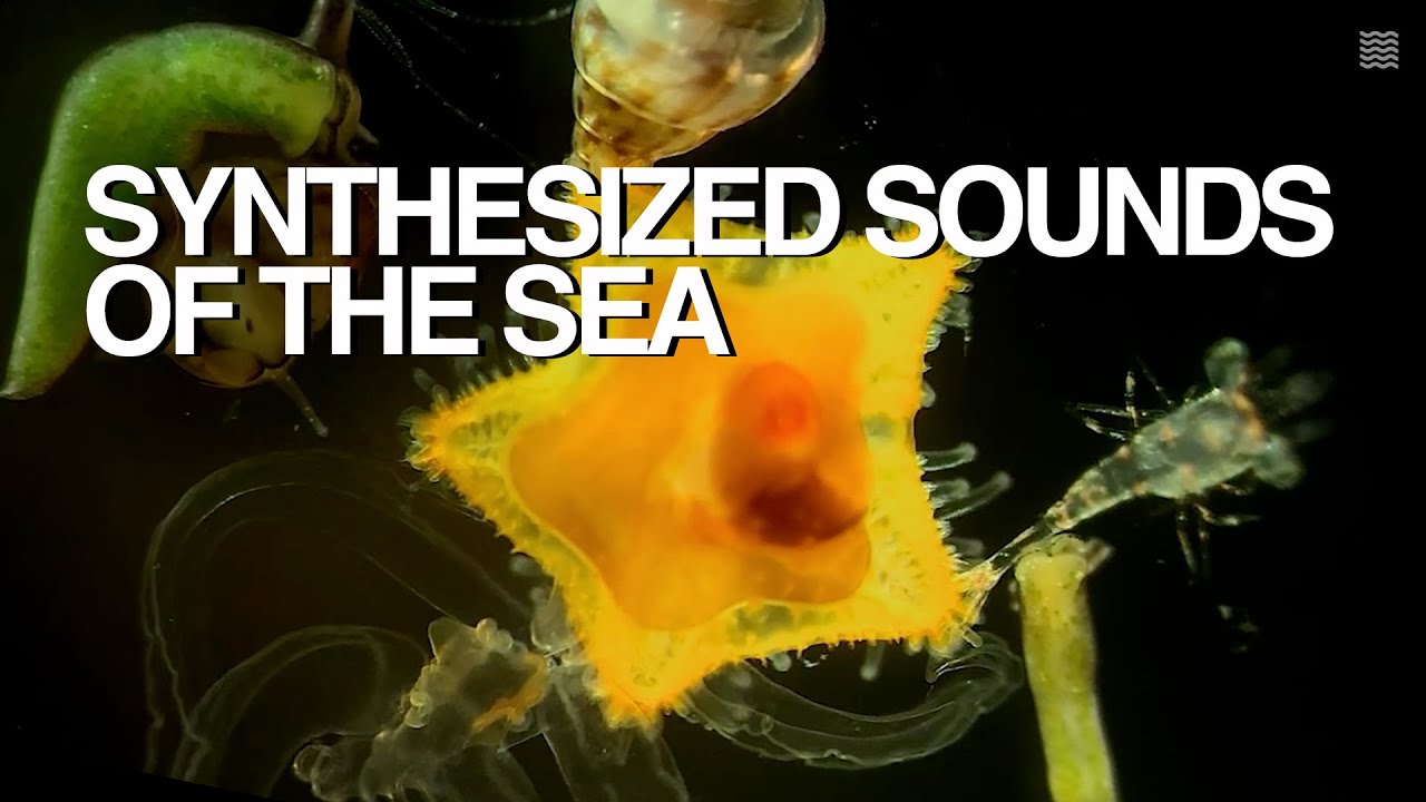 Tomer Baruch - Synthesized Sounds of the Sea | Full Visual Album