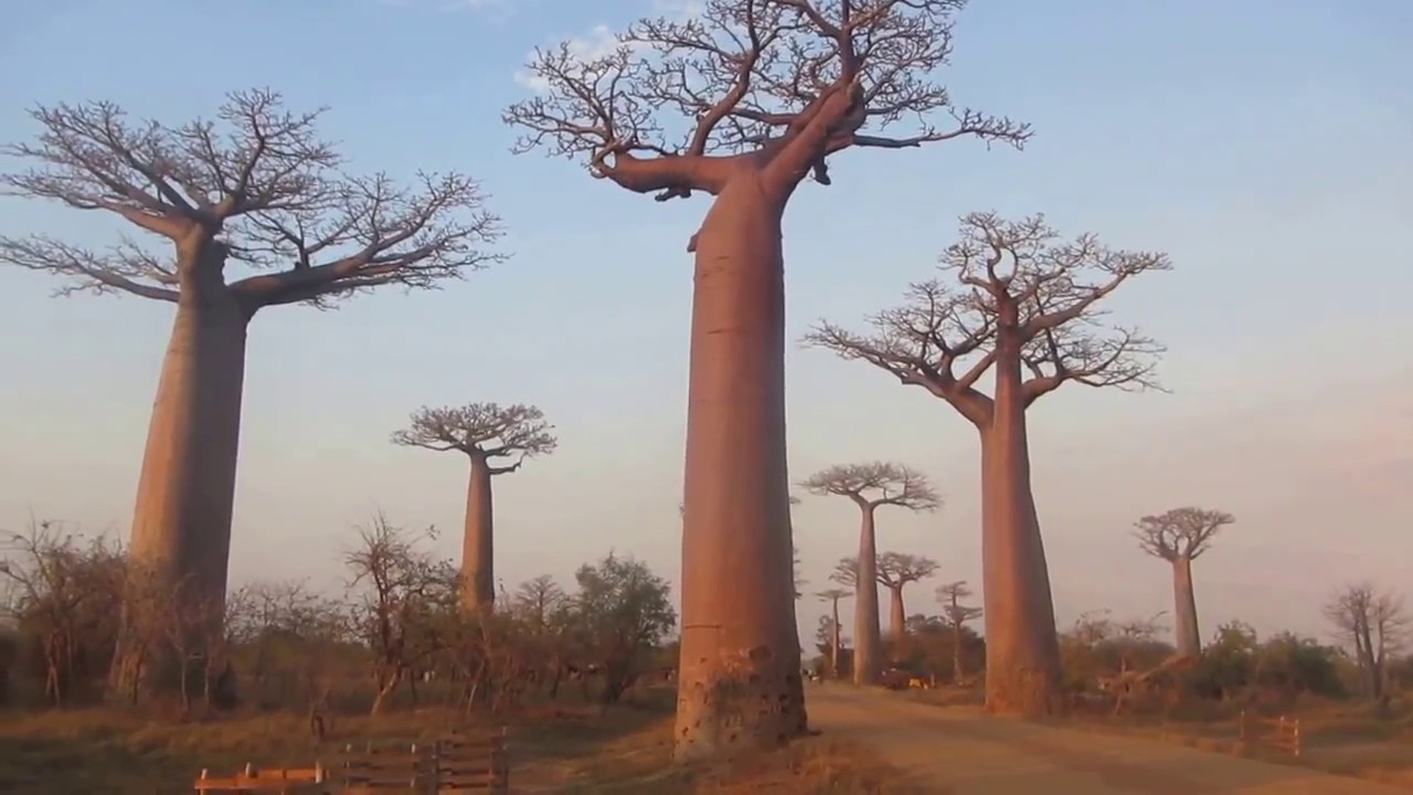 Tanilanila ilay masoandro