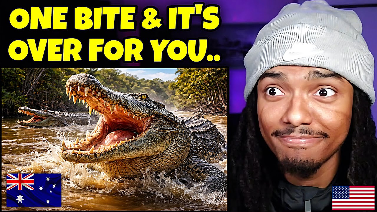 AMERICAN REACTS to Australia&rsquo;s GIANT Crocodiles 😳