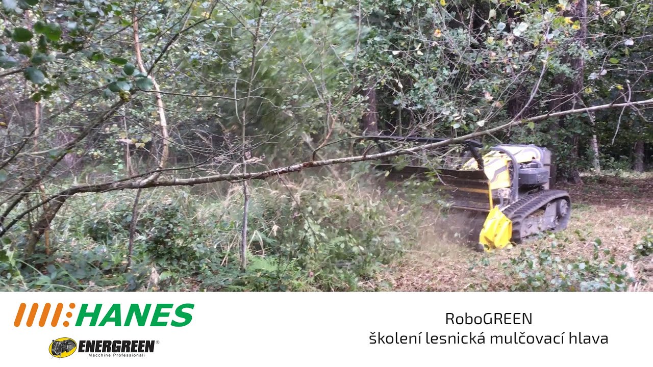 RoboGREEN školení lesnická hlava