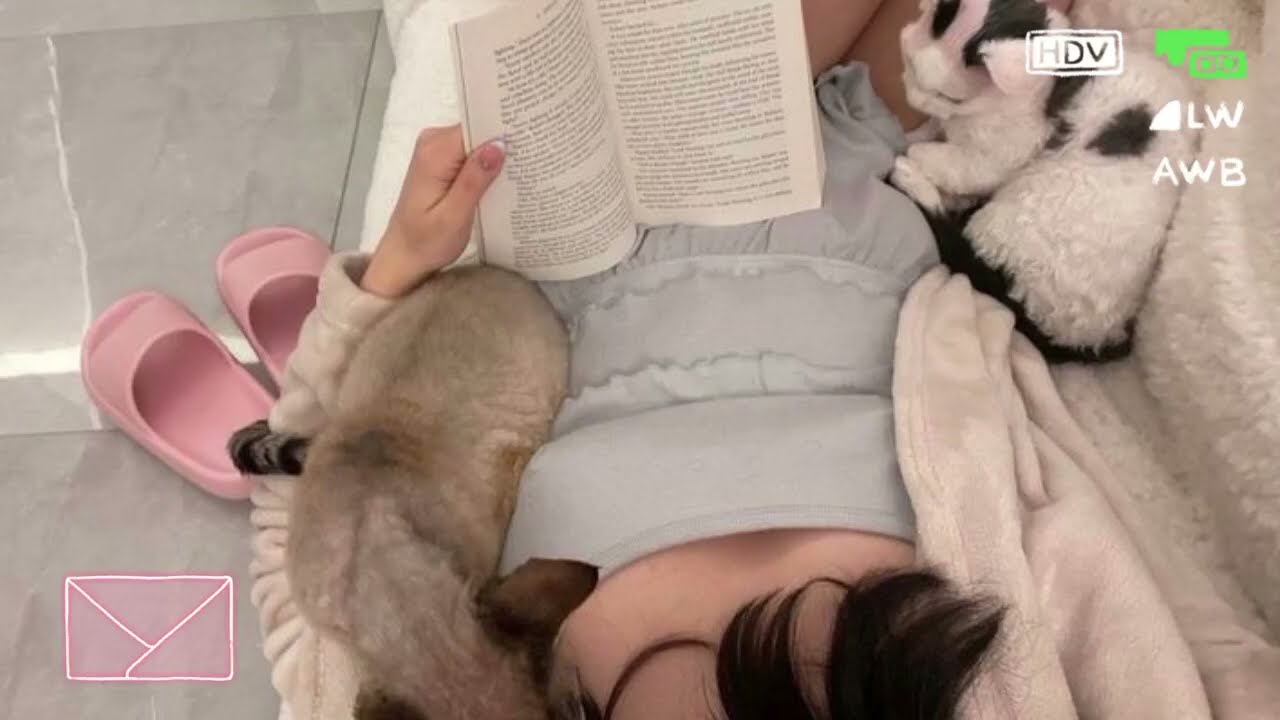 🍪&bull;pink pilates princess (a playlist)♬