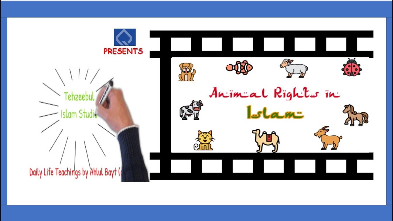 Animal rights in Islam | Islam & Animal Welfare| Islamic Whiteboard Animation |Animation| Must Watch