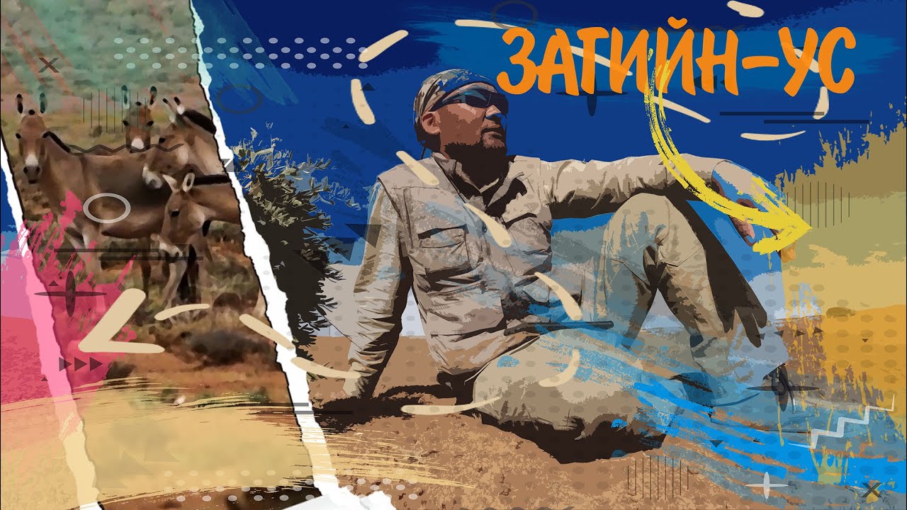 ЗАГИЙН-УС говийн намар, хулангийн нутгаар | ZAGIIN-US autumn in Gobi, land of Equus hemionus | solo