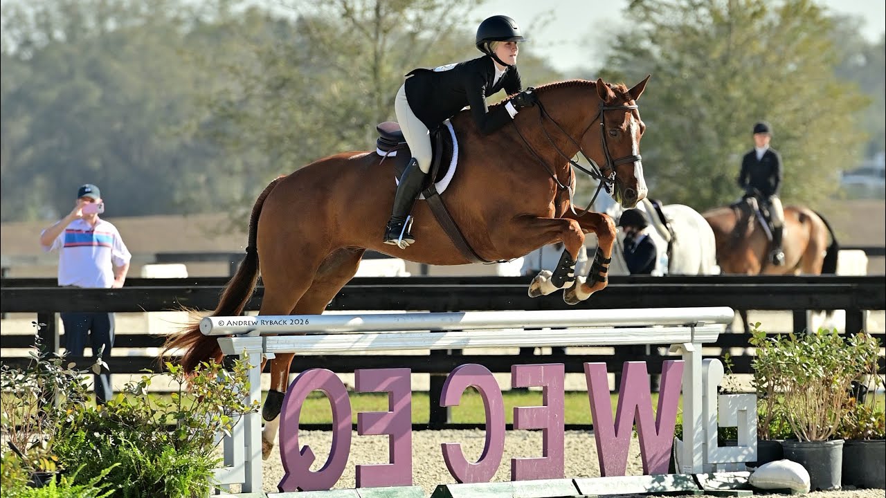 4th place NCEA - Feb. 2026 | Ford