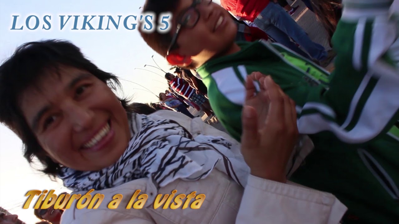 LOS VIKINGS 5 EN VIVO - FIESTA EN EL BARRIO - MIX 4