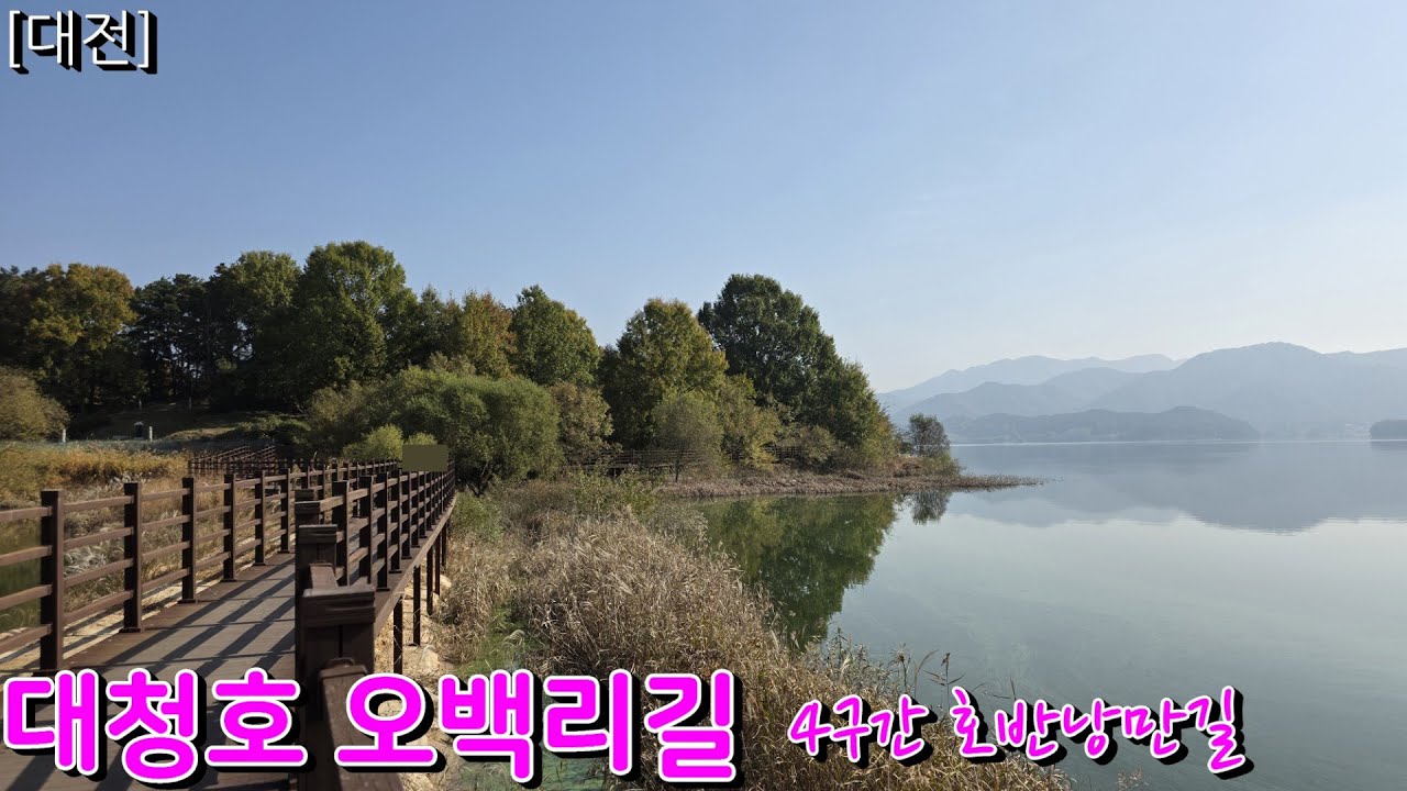 [대전] 대청호 오백리길 명상정원 | 말이 필요 없는 무장애 힐링 산책