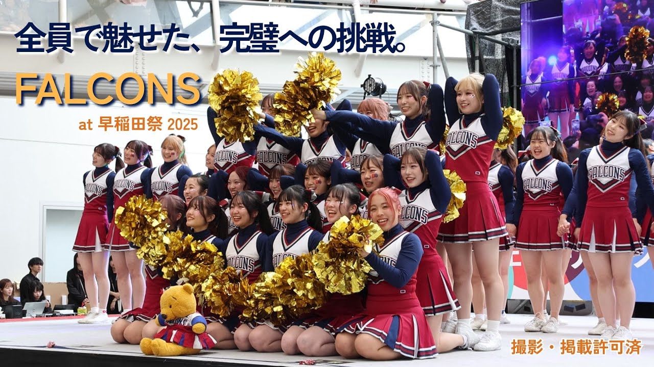 【早稲田祭2025】FALCONS｜全員で魅せた、完璧への挑戦！戸山カフェテリアステージ