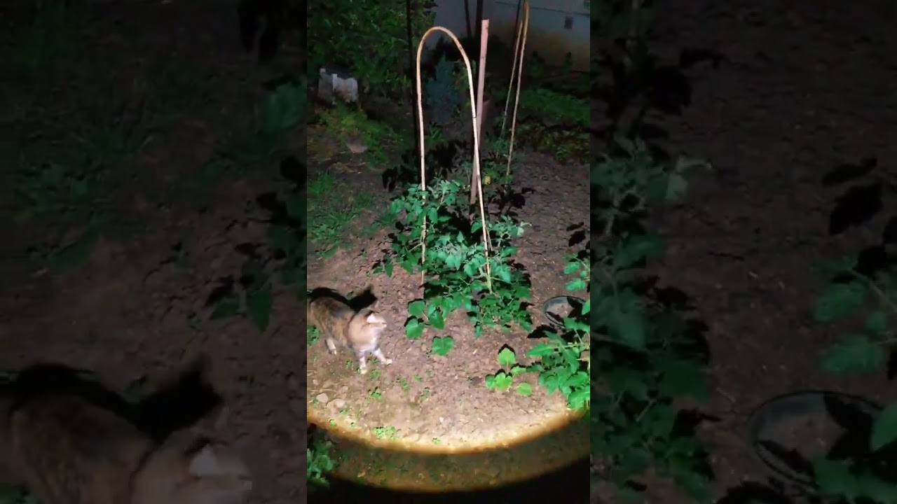 Lampe avec un faisceau lumineux ajustable !