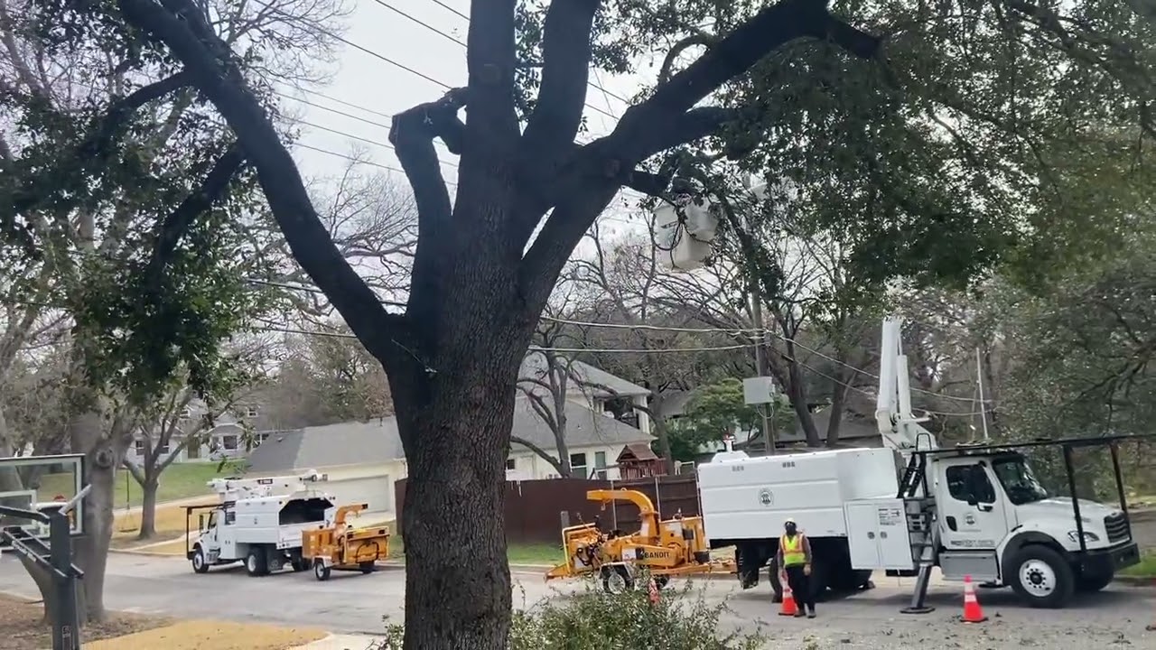 Trimming the Branches Away from the Power Lines