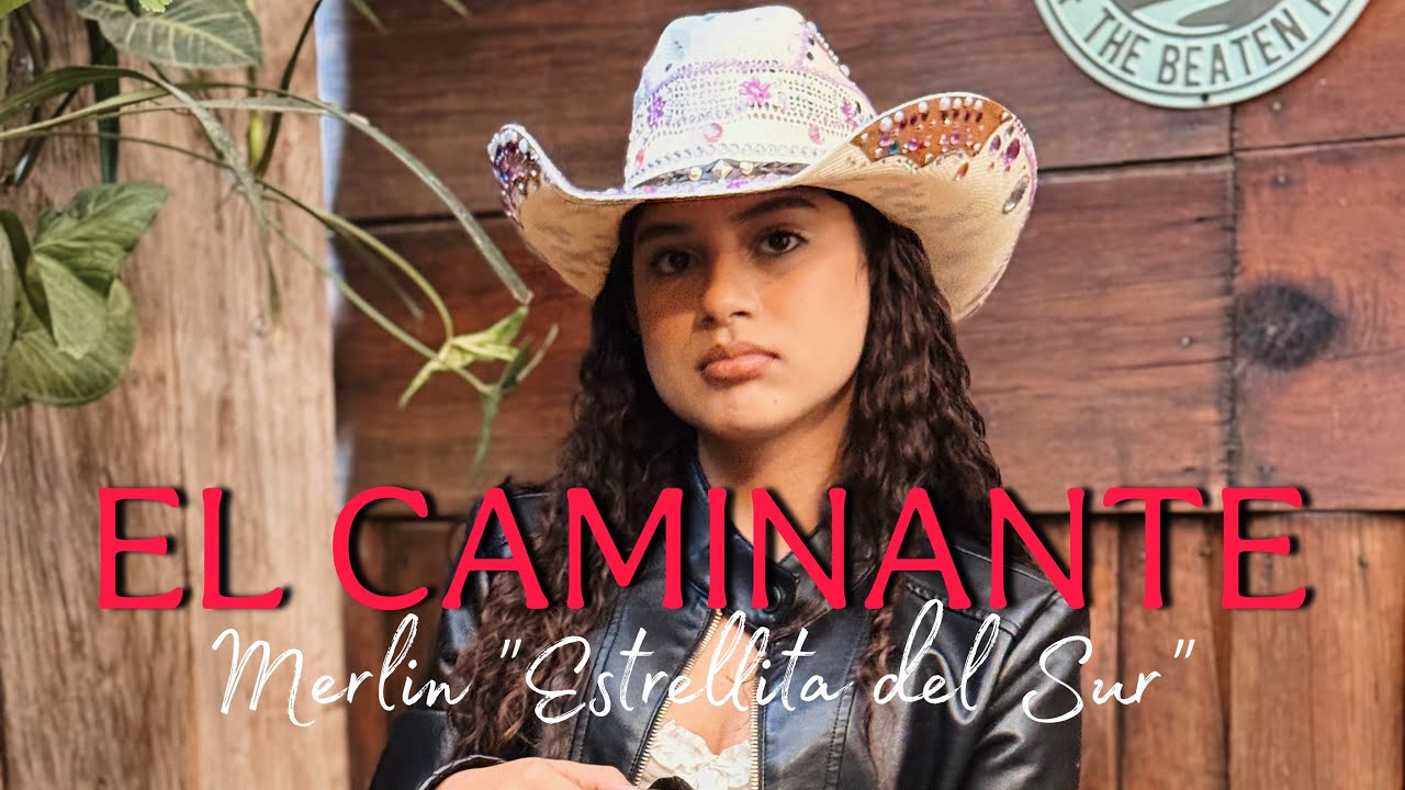 El caminante | Merlin Estrellita del Sur