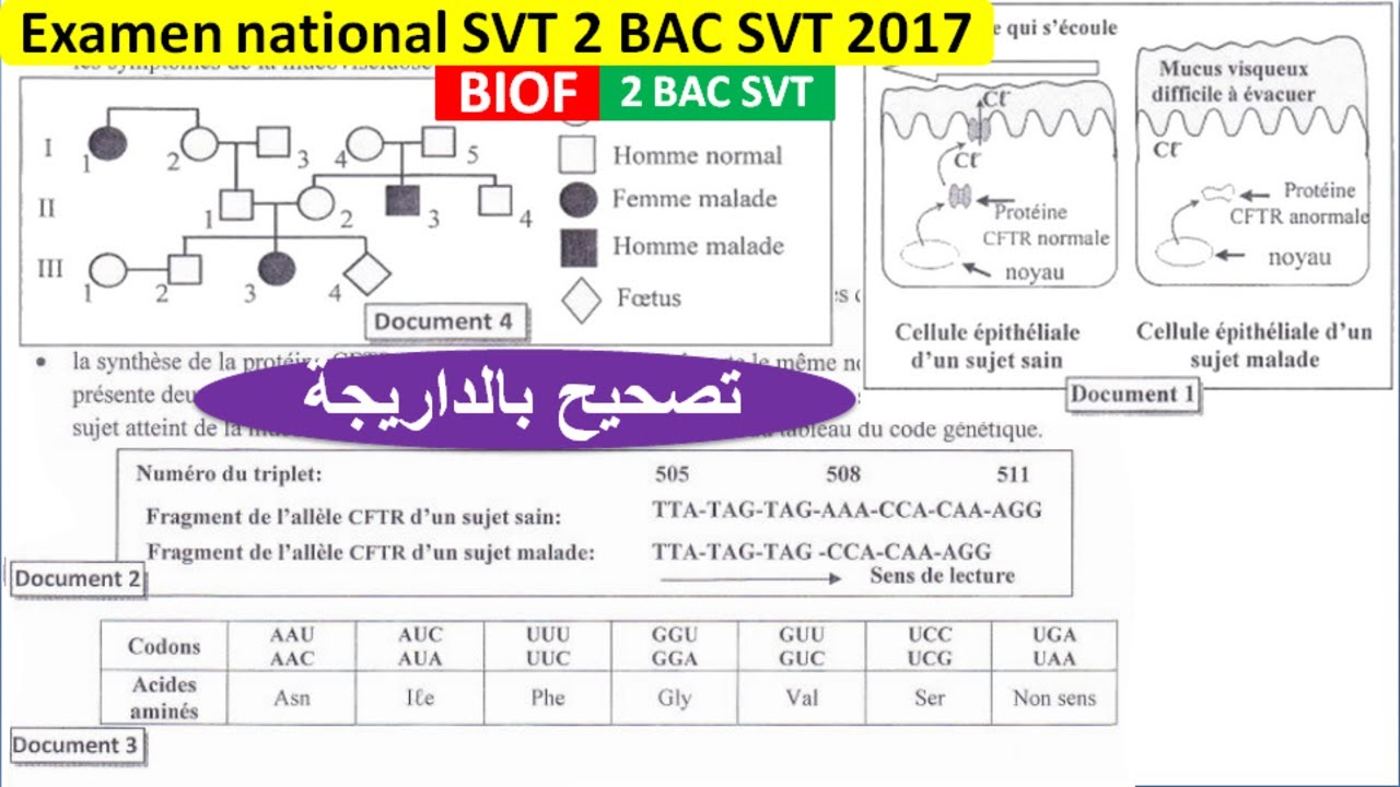 Examen national SVT 2 bac svt 2017 option français