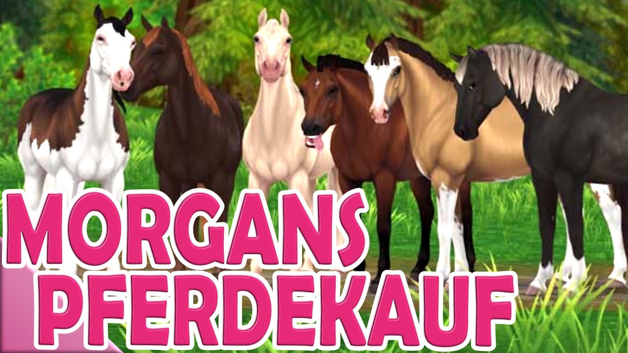Das neue Morgan Horse - PFERDEKAUF 🐴 Star Stable Online mit Kaddi