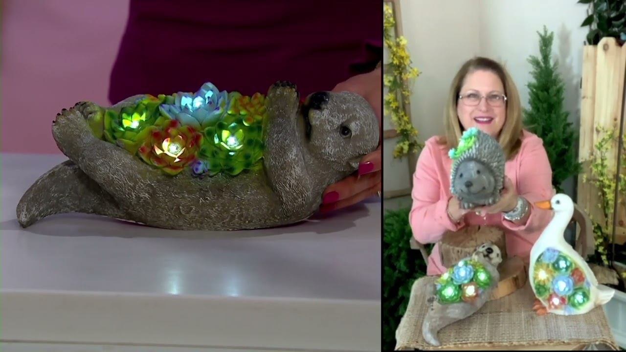Plow & Hearth Solar Resin Lit Succulent Animal Statuary on QVC