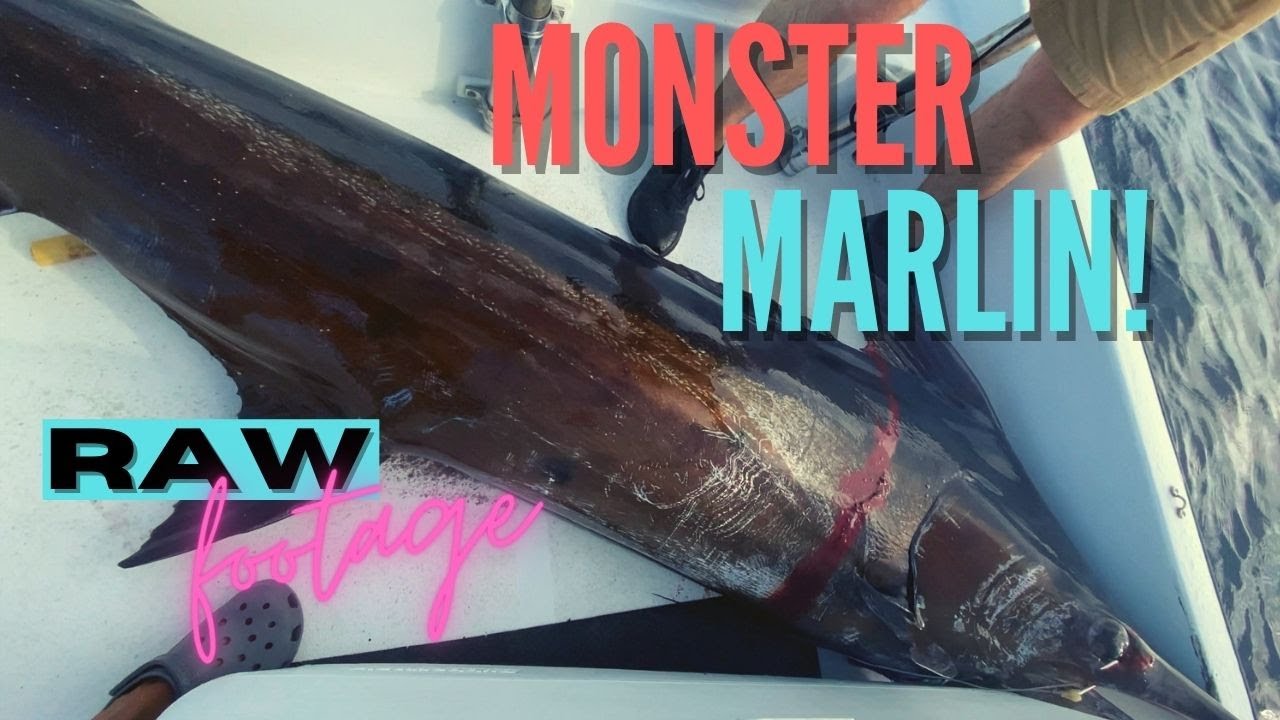 300lb Blue Marlin on a small boat! Guam Marlin Fishing {RAW FOOTAGE}