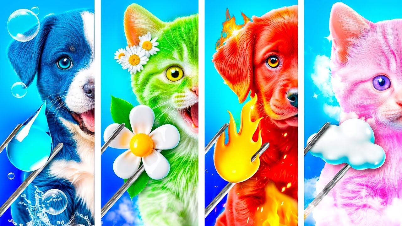J’ai aidé les animaux des 4 éléments. Feu, eau, air et terre. Sauvetage extrême dans la vie réelle!