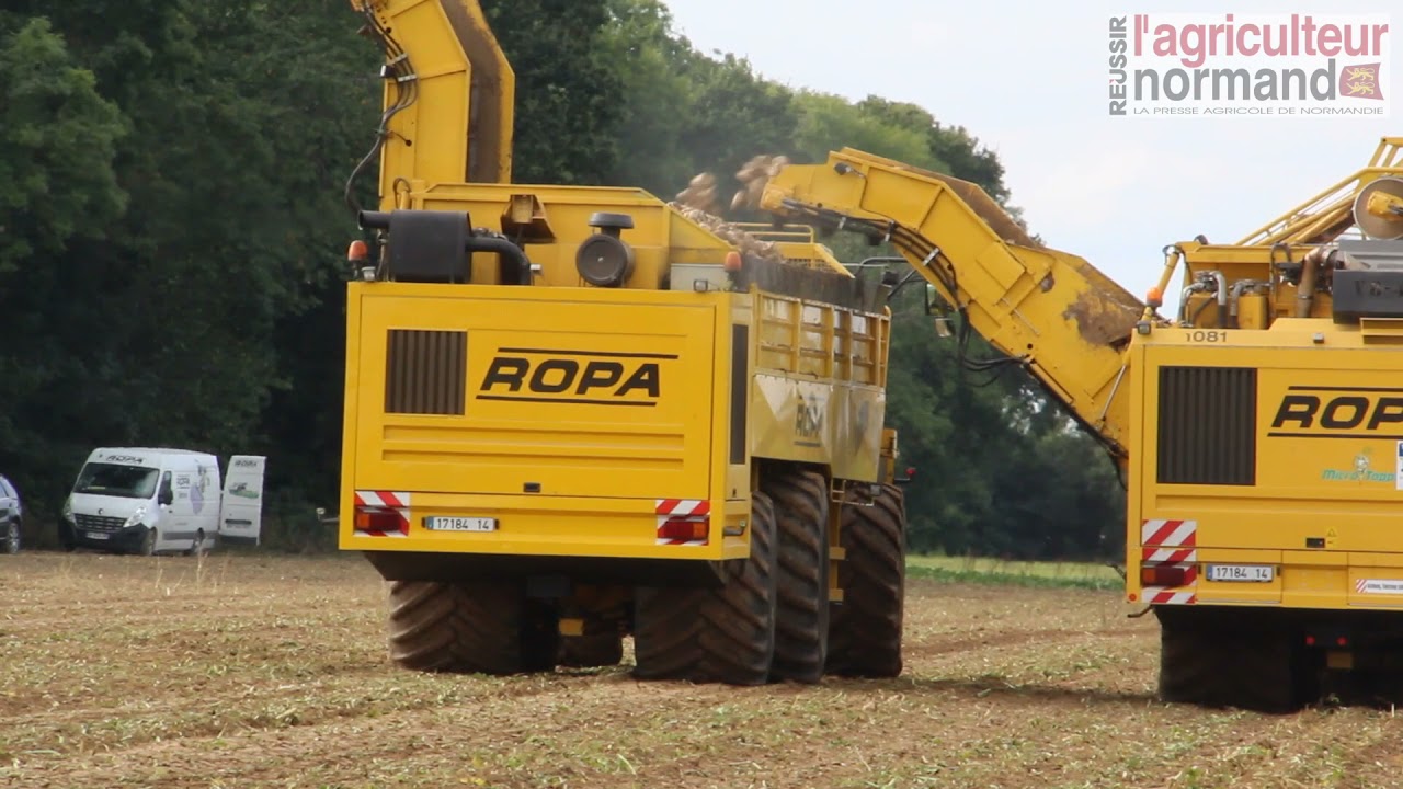 Planteurs de betteraves : mettez un débardeur dans la plaine