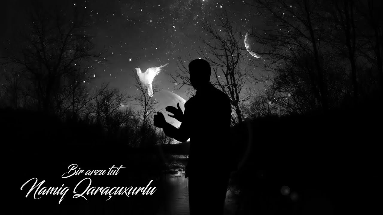Намик Гарачухурлу - Bir arzu tut