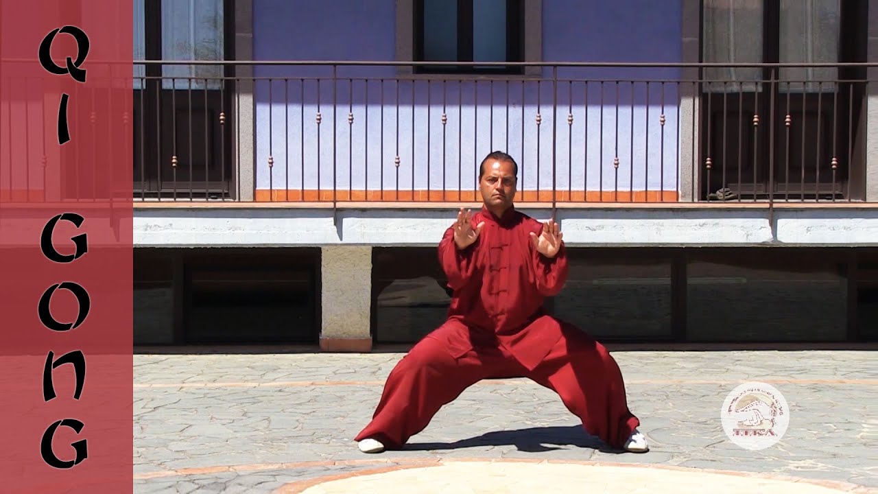 Qi Gong - Sequenza Madre - Gianfranco Pace - Tai Chi online - Area download video