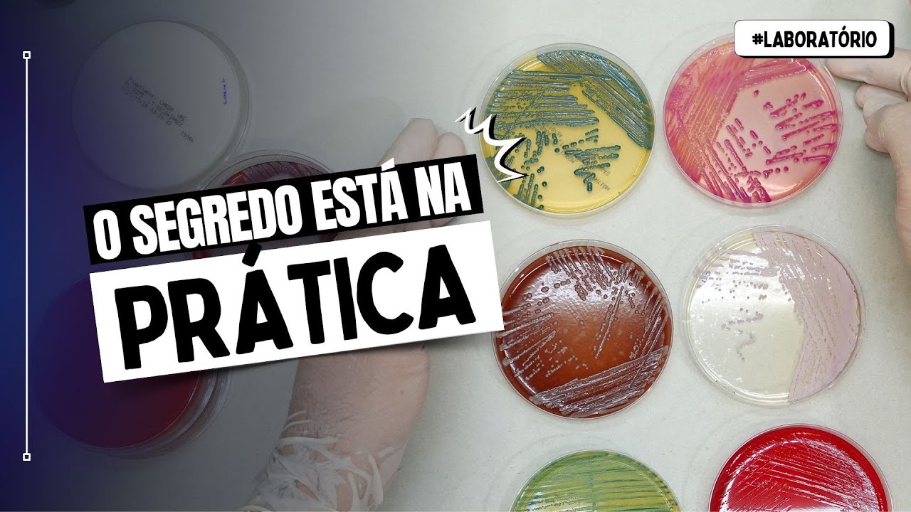Meios de Cultura na Prática: Como identificar bactérias com precisão no laboratório?