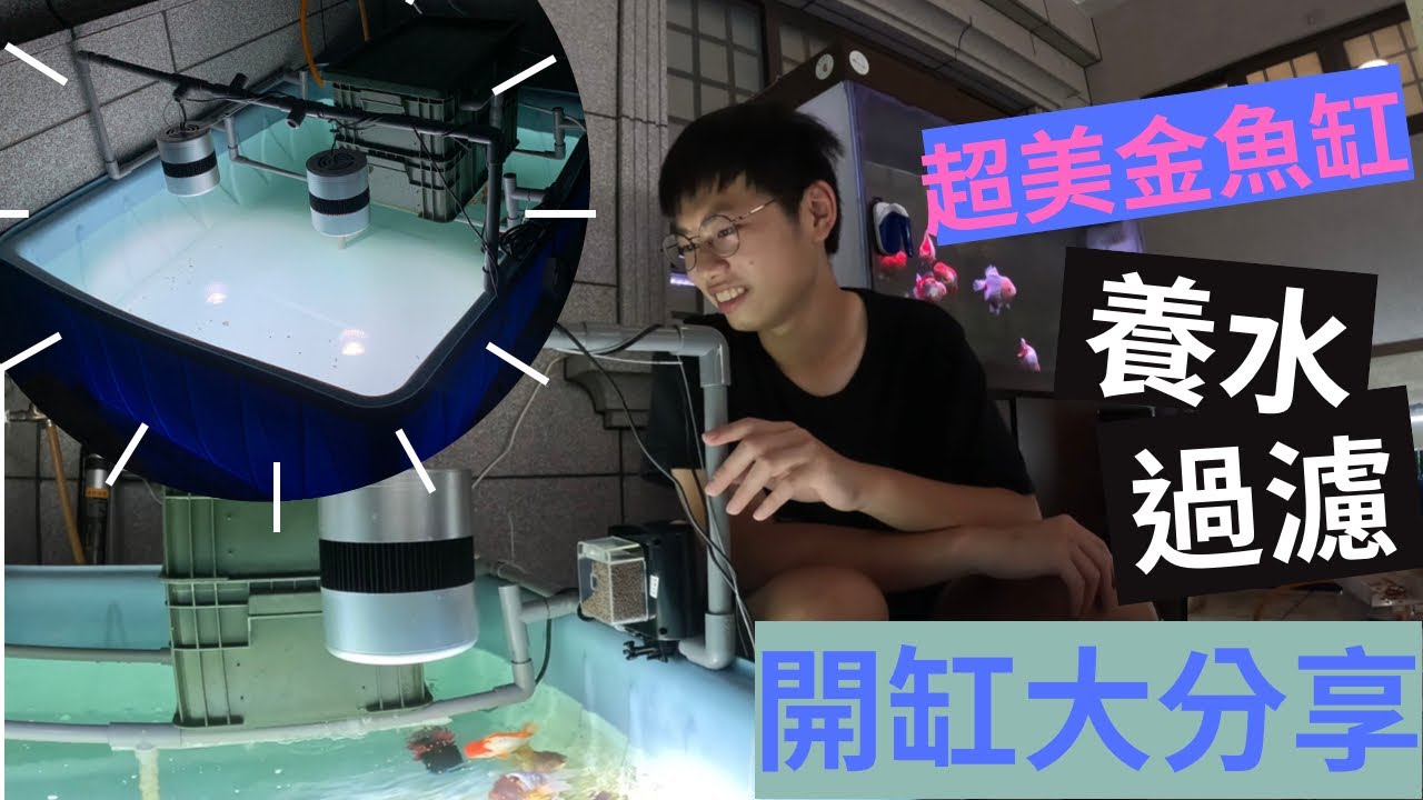 魚池大開缸 養水？過濾？新手必看超美金魚缸 簡單步驟超棒環境！！#金魚 #開缸 #教學